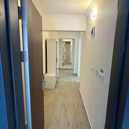 Yagmur Didim